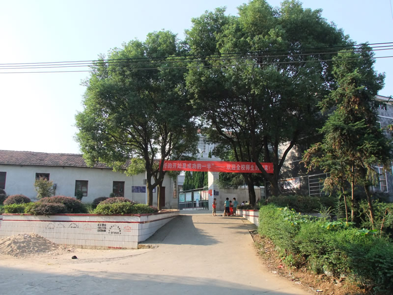 蔡家小学