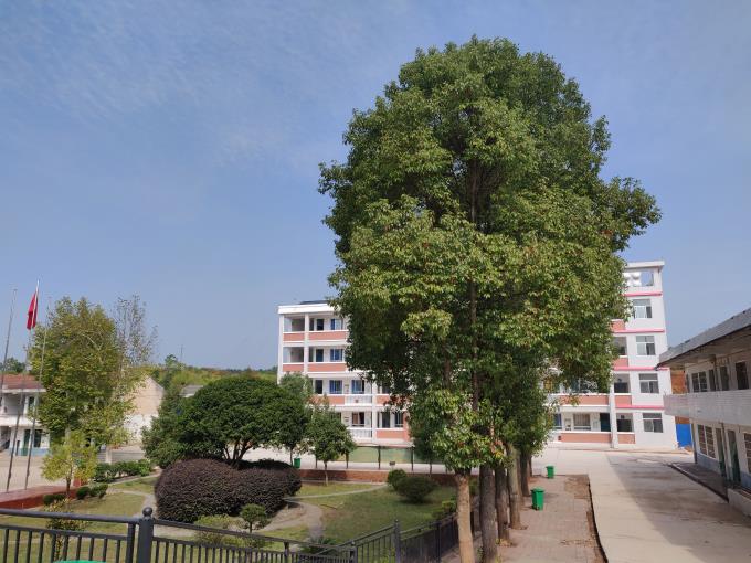 平江三市中学美丽校园爱心浇灌